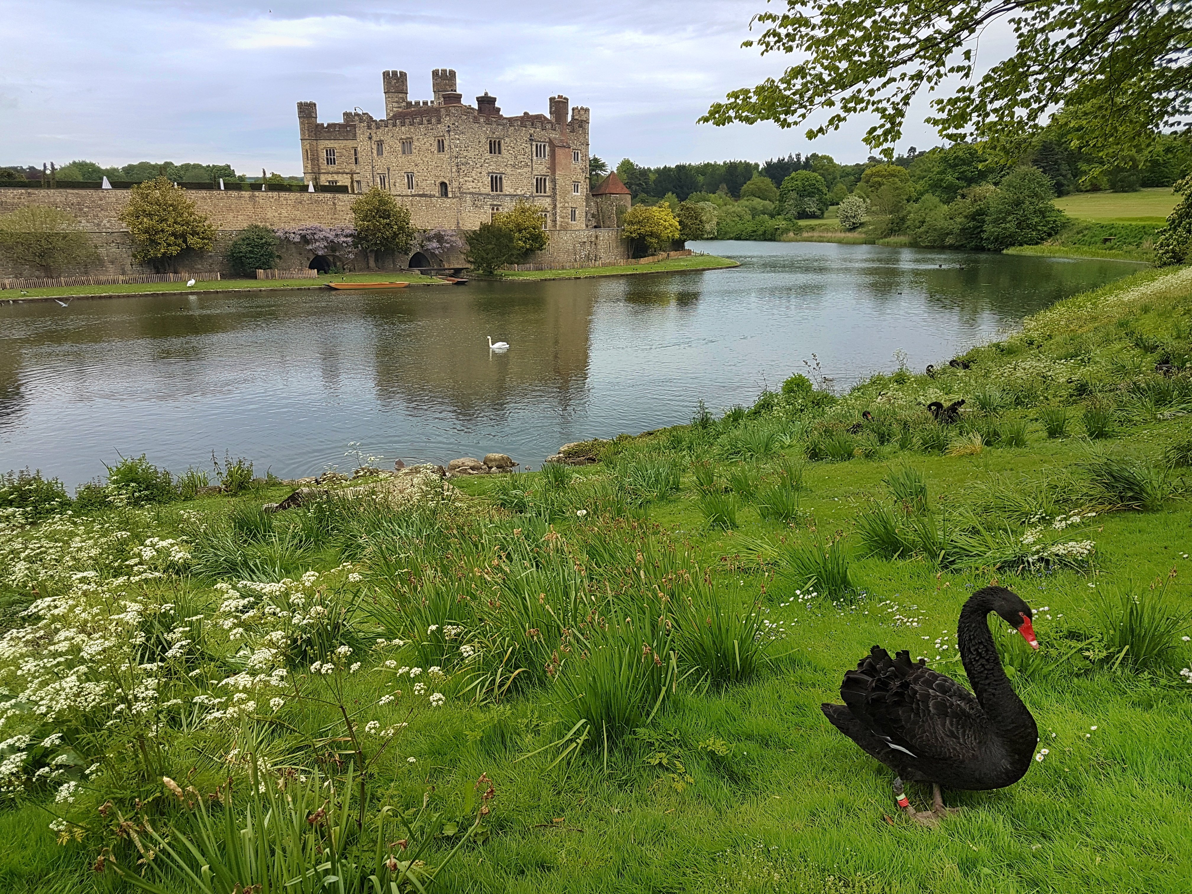 Leeds Castle