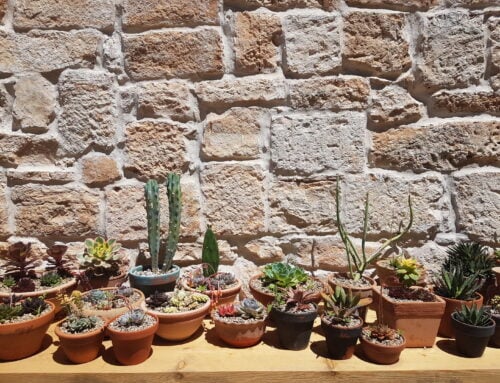 Gluten Free Puglia Guide
