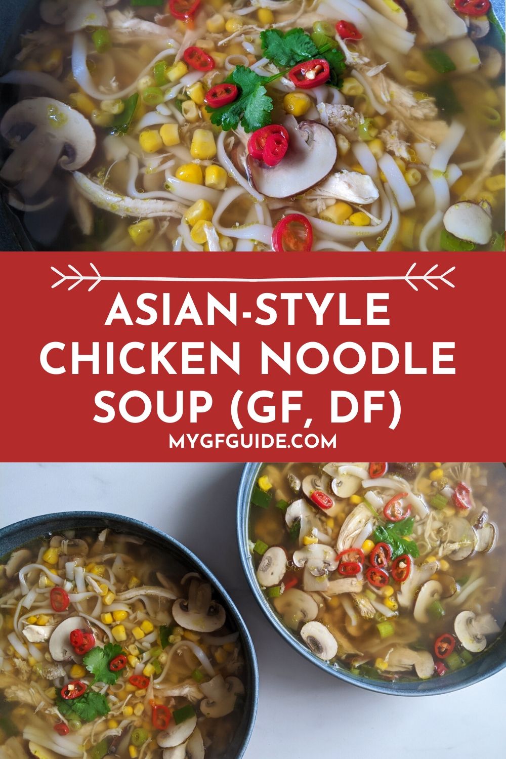 AsianStyle Chicken Noodle Soup Recipe (GF, DF)