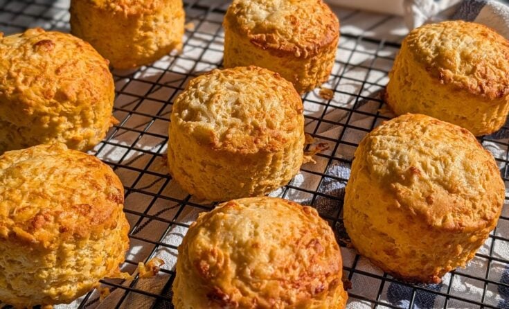 Gluten Free Cheese Scones