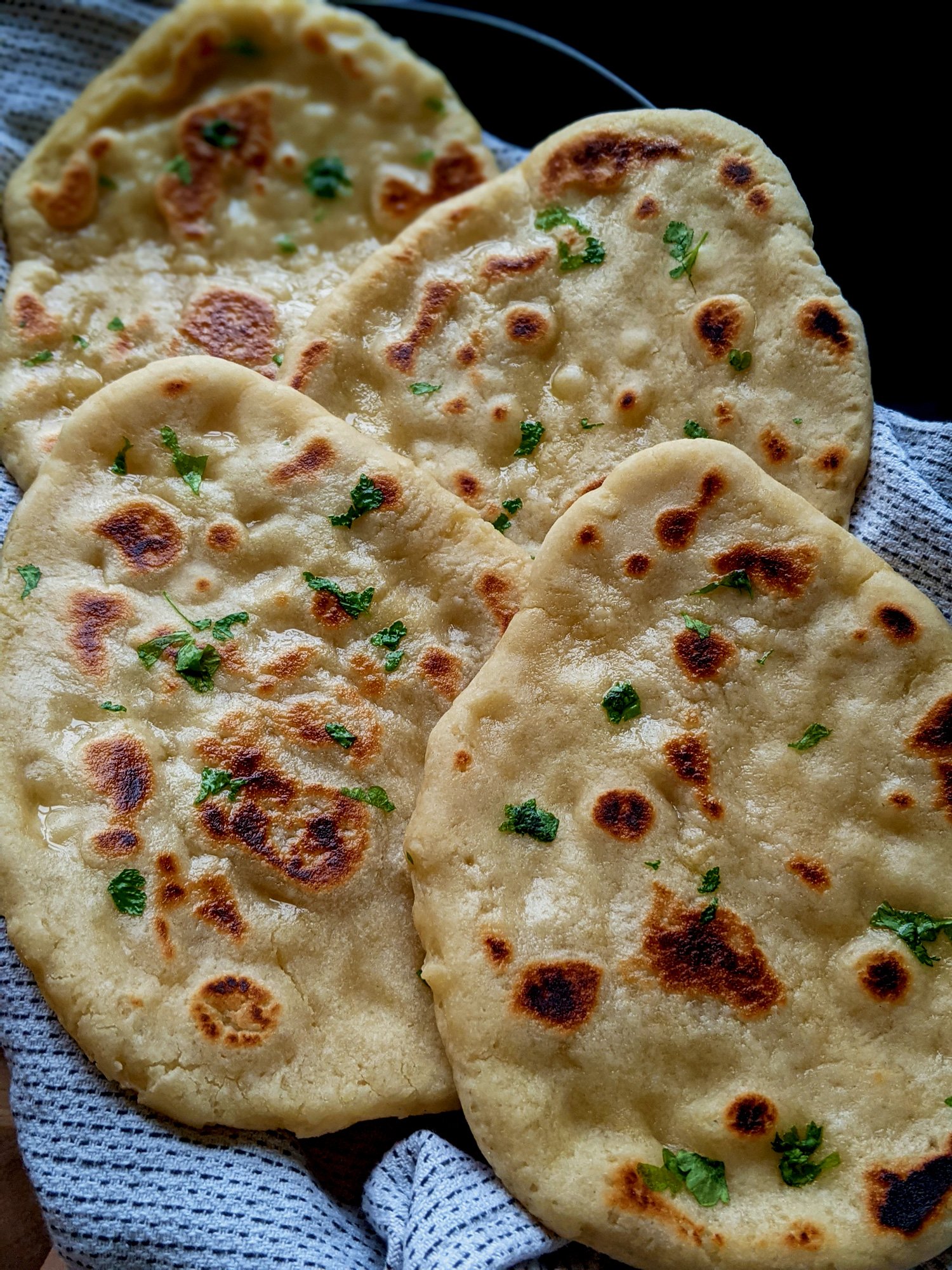 Brilliant Gluten Free Naan Recipe