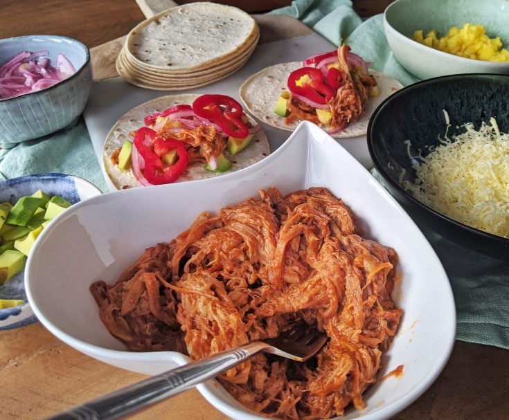 Easy BBQ Pulled Pork GF DF