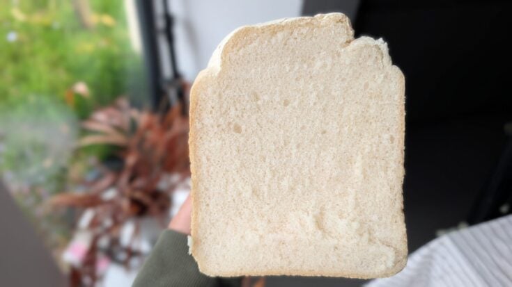 Gluten Free Bread Maker Recipe - 6 Ingredient White Loaf