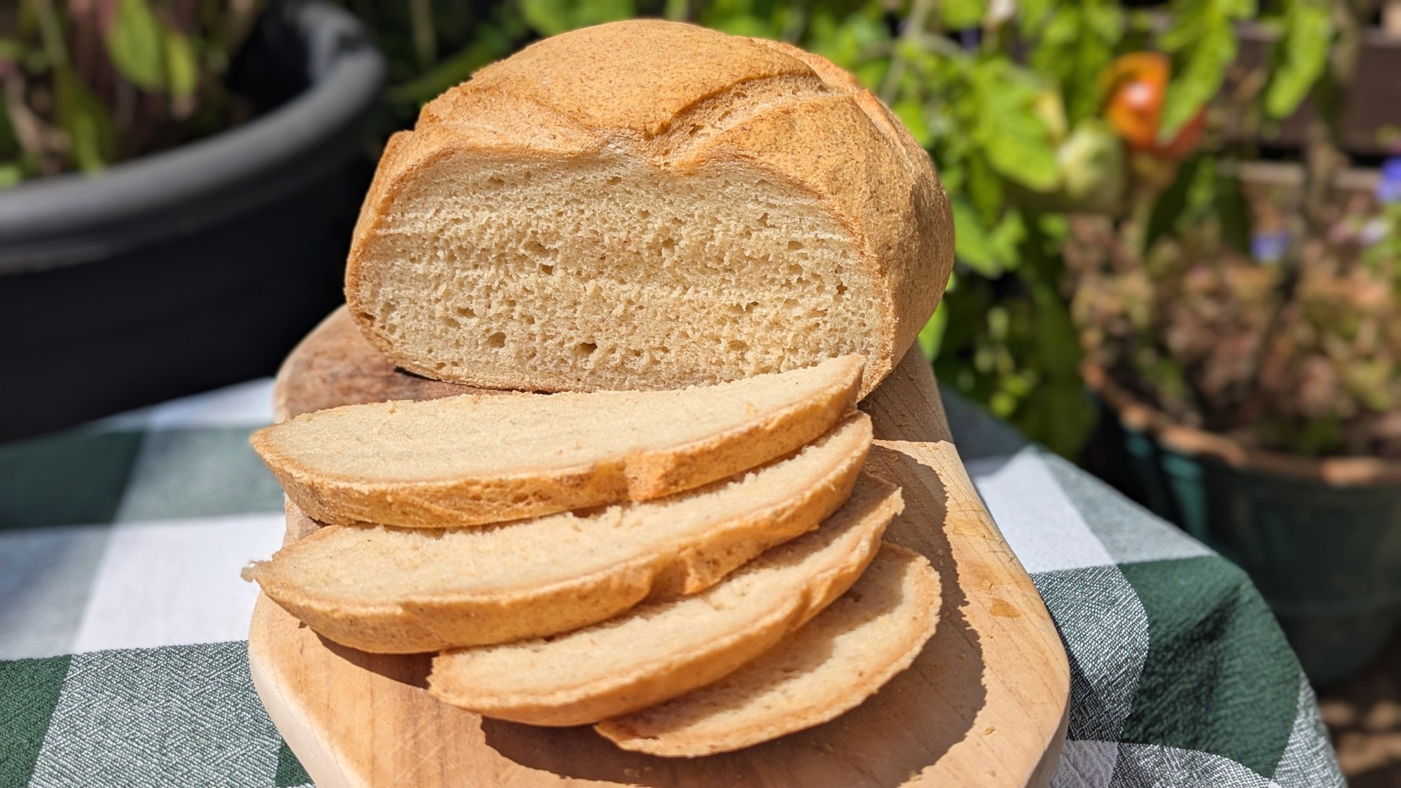 gluten free bread recipe crusty white cob